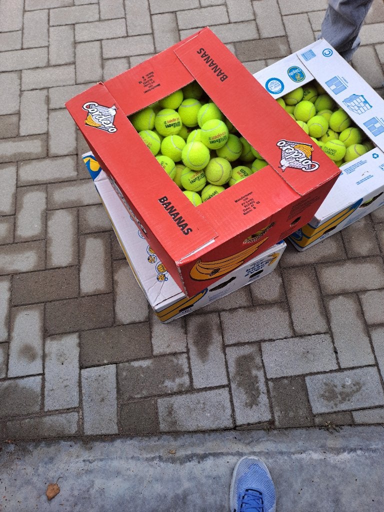 tennisballen, Sport en Fitness, Tennis, Ophalen of Verzenden, Gebruikt, Ballen, Wilson