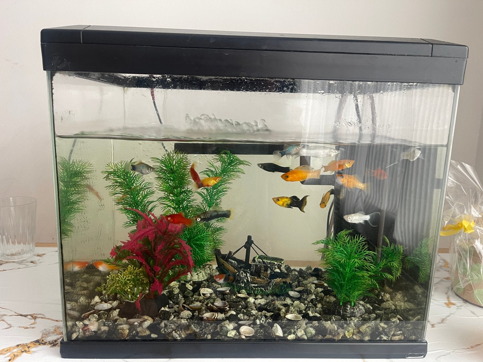 Compleet aquarium te koop, Ophalen, Zo goed als nieuw, Aquariummeubel, Oase