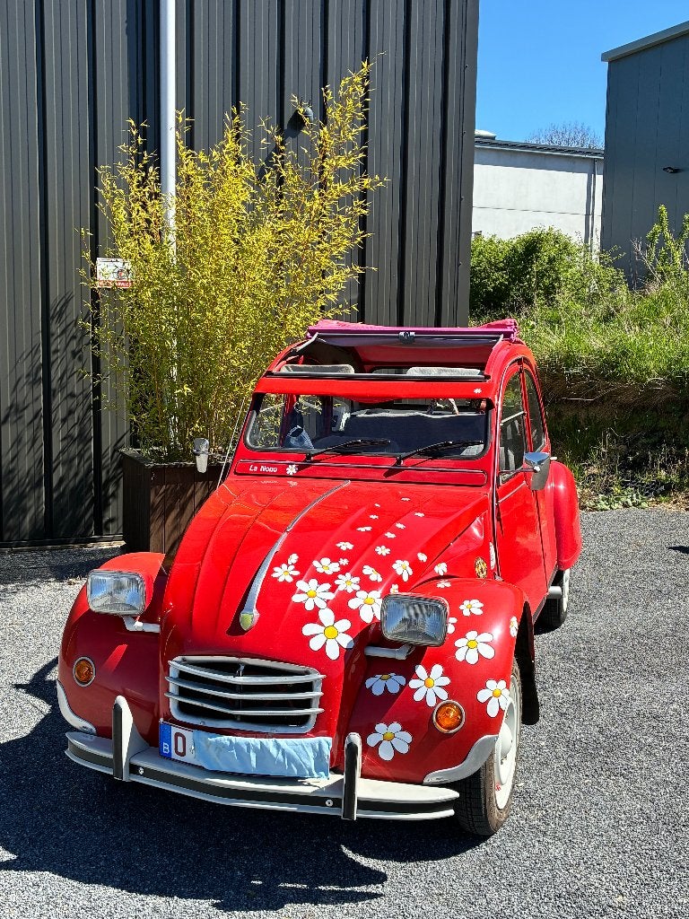 Citroen 2cv  CT 2028 moteur révisé Flower power, Autos, Citroën, Particulier, Essence, Achat, 2CV