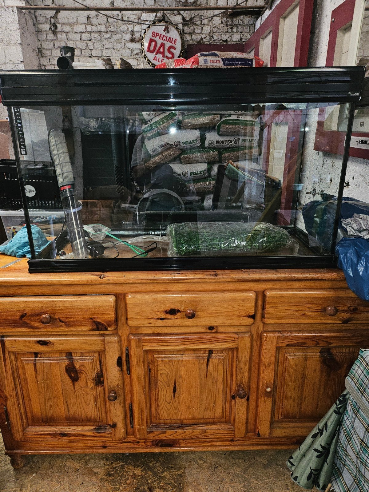 aquarium, Enlèvement