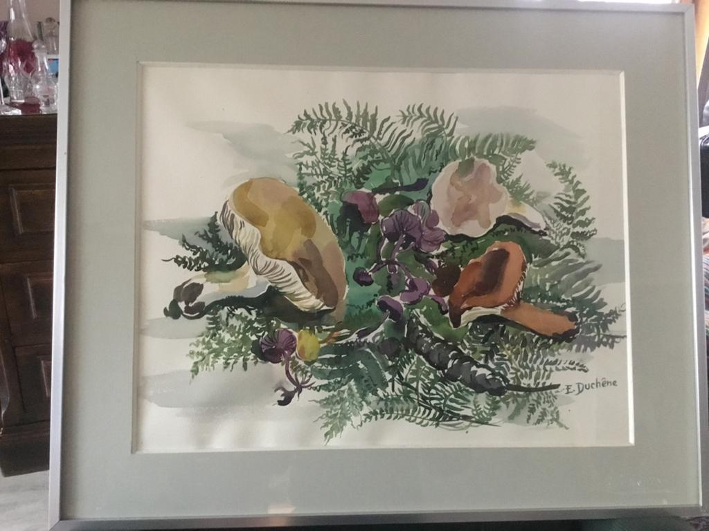 E(Edmond) Duchene°1919akwarel-achter glas-.82x67 met kader., Ophalen