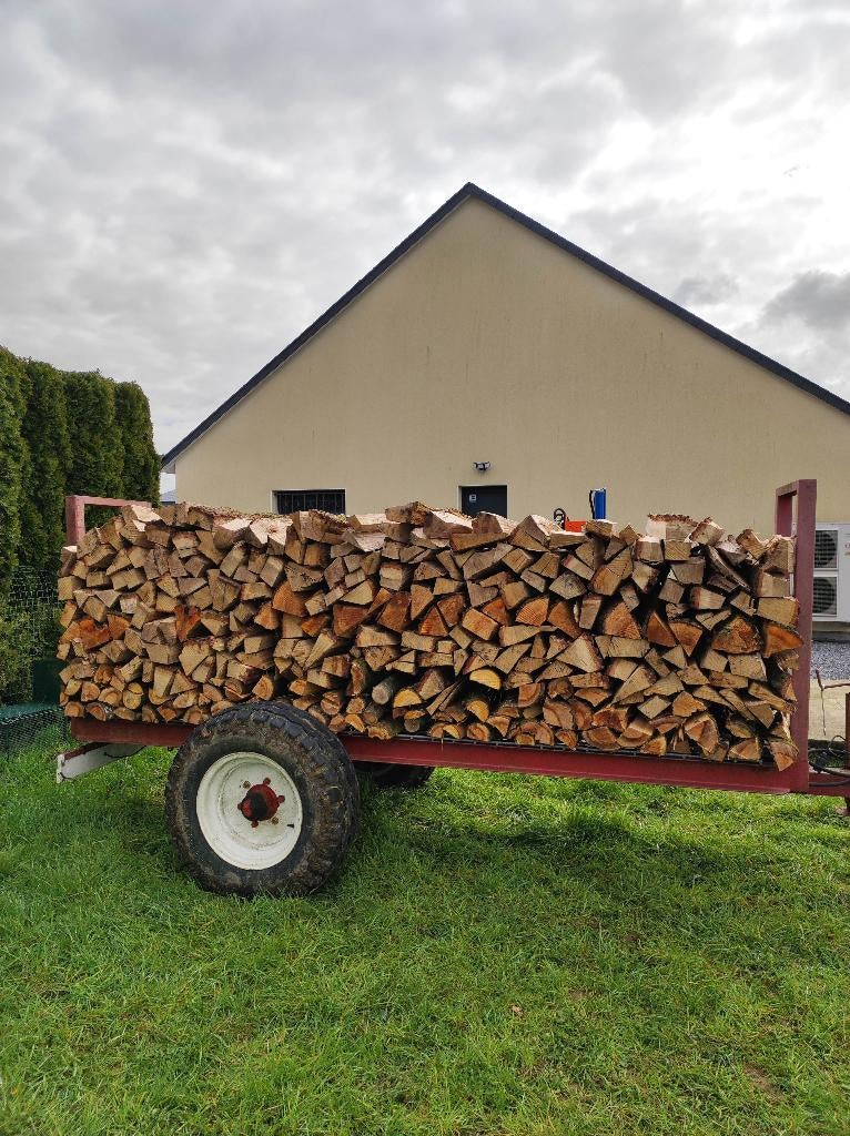 bois de chauffage, 3 à 6 m³, Enlèvement, Chêne, Bûches