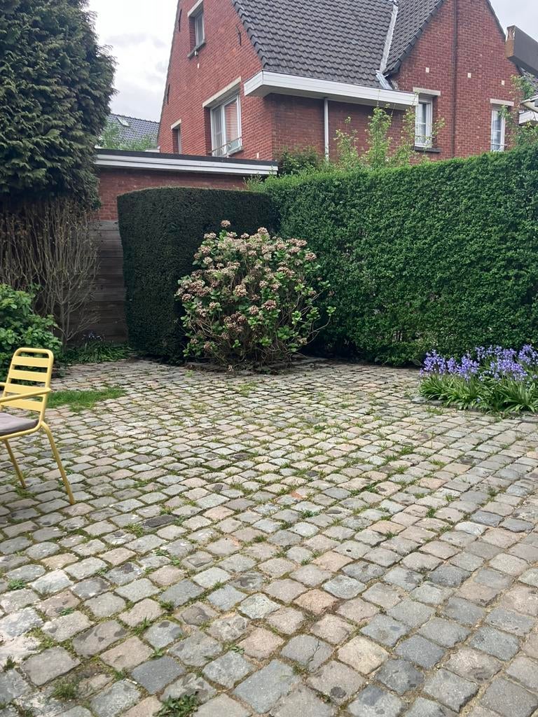 Kasseien - gratis (30m2 ongeveer), Enlèvement, Utilisé, Autres types, Autres matériaux
