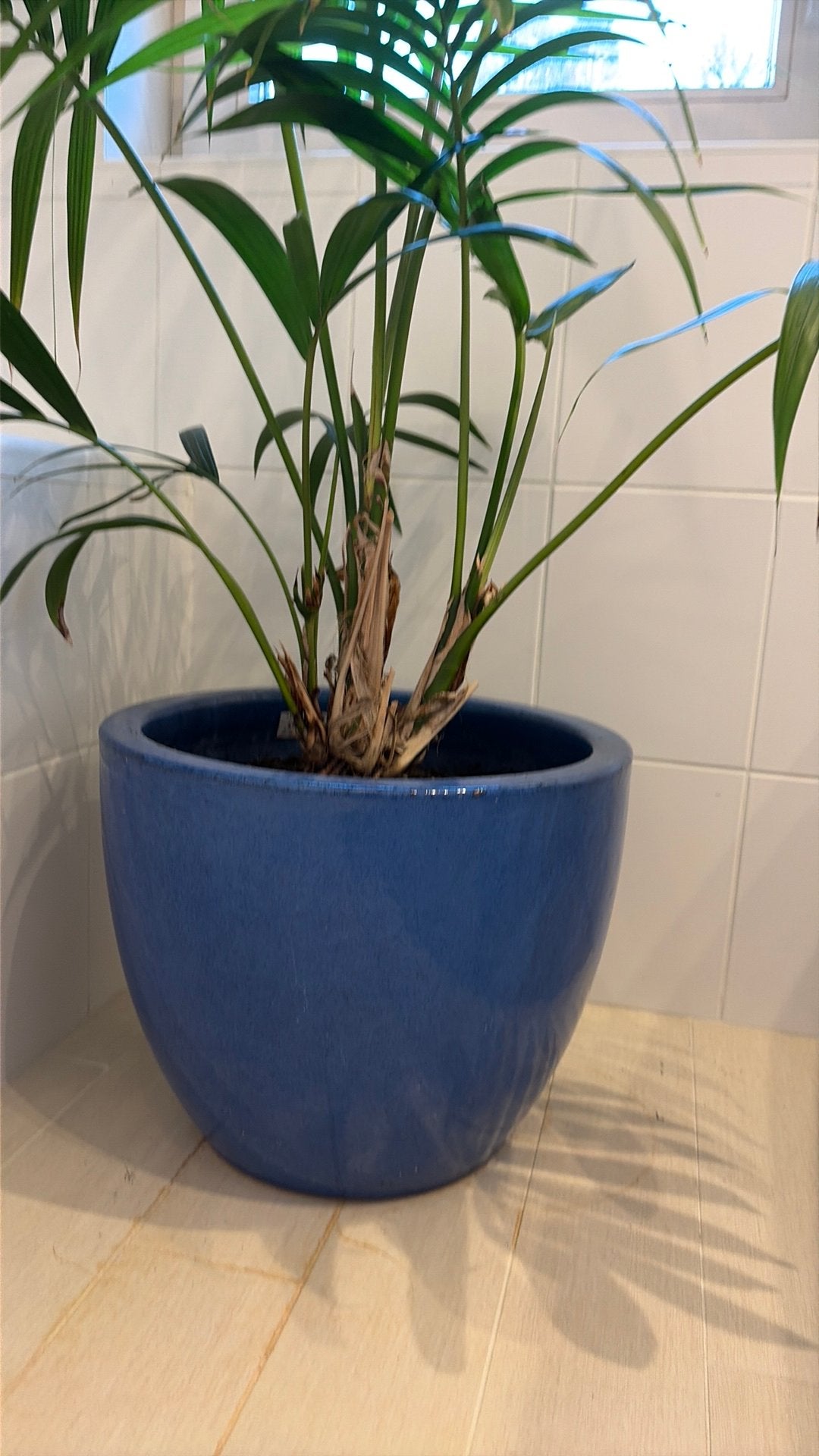 Plante, Enlèvement