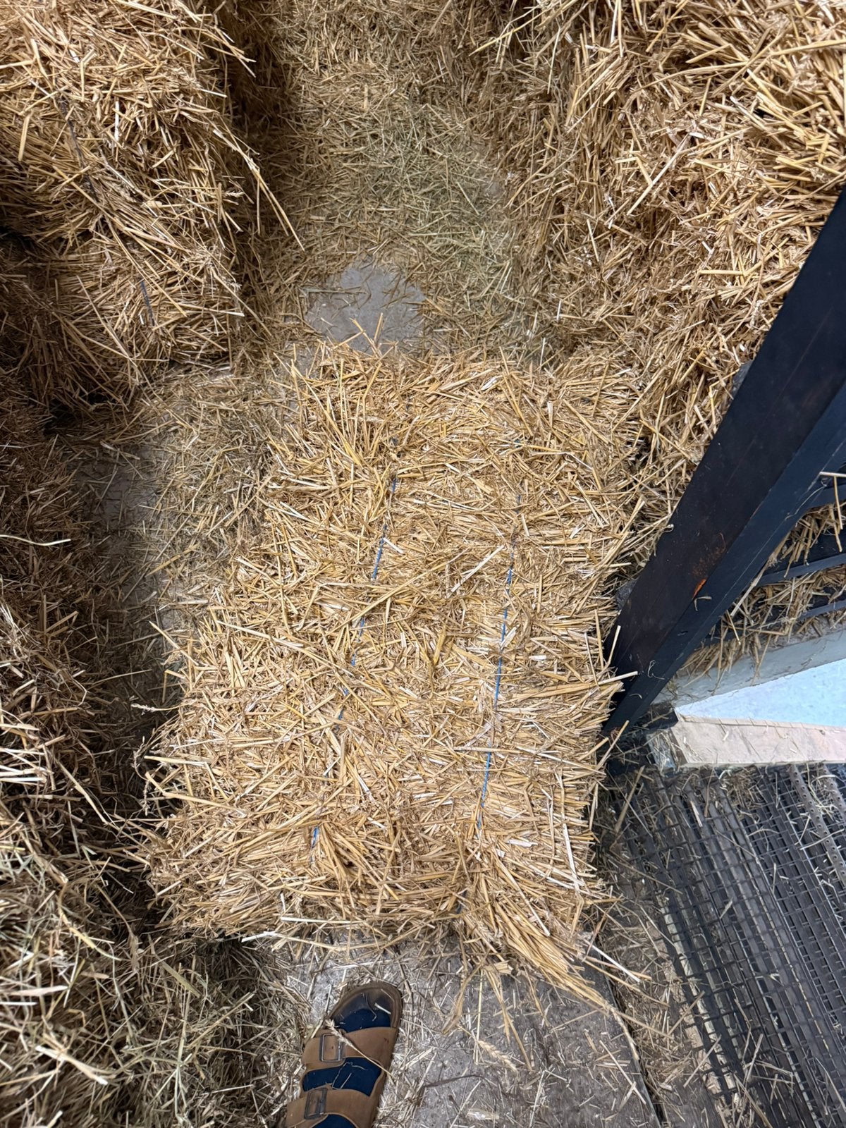 Kleine botten stro, Ophalen