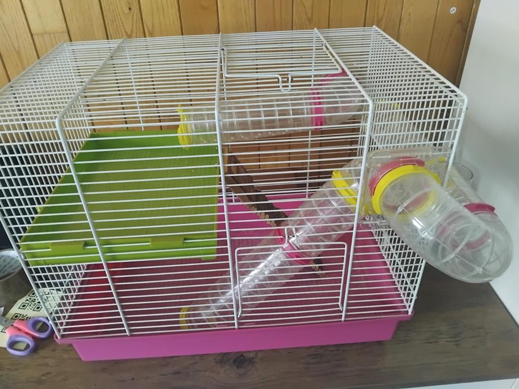 Erg leuke hamsterkooi met tunnelsysteem. 37x50x55 cm., Minder dan 60 cm, Kooi, Minder dan 75 cm, Ophalen of Verzenden