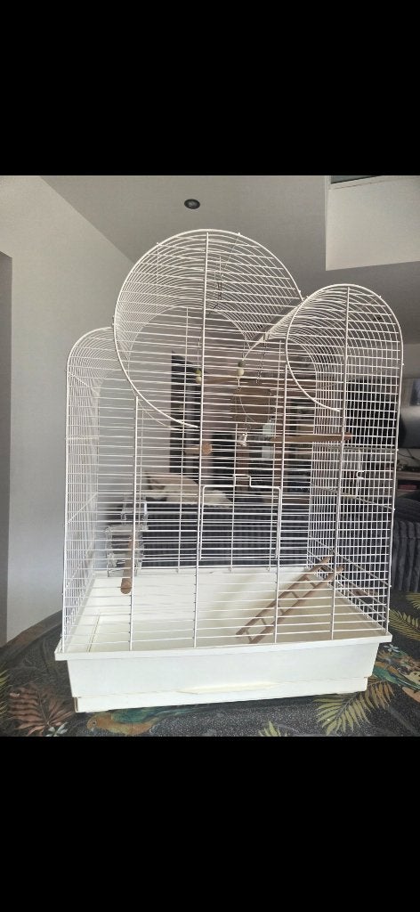 Grande Cage à oiseau, Enlèvement, Comme neuf