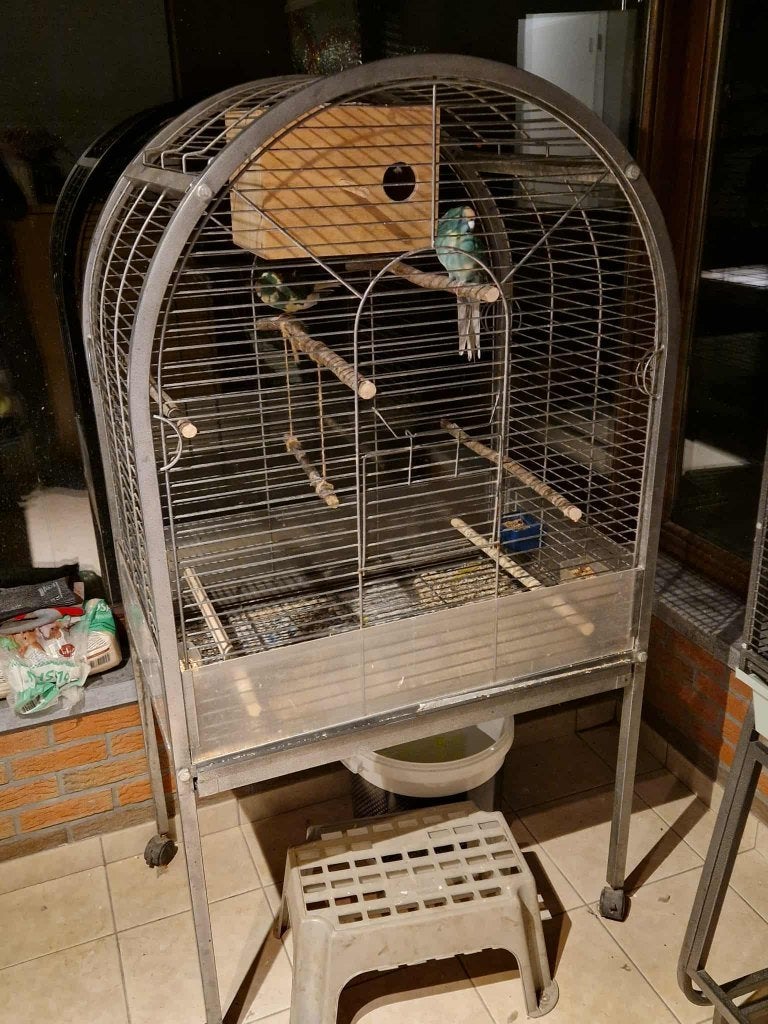 Grote vogelkooi, Animaux & Accessoires, Oiseaux | Perruches & Perroquets