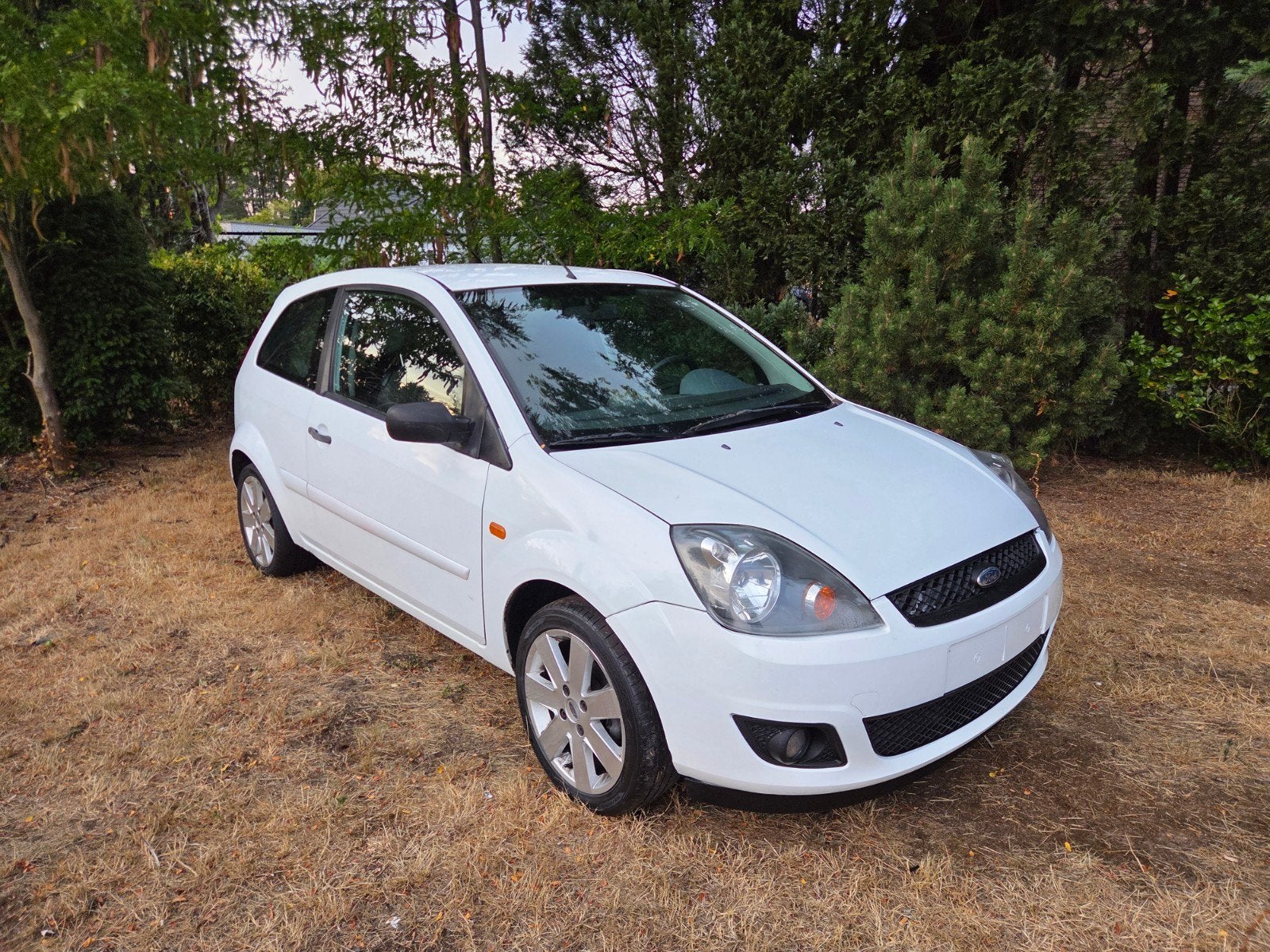Ford Fiesta 1.4 TDCi, Achat, Attache-remorque, Diesel, Particulier