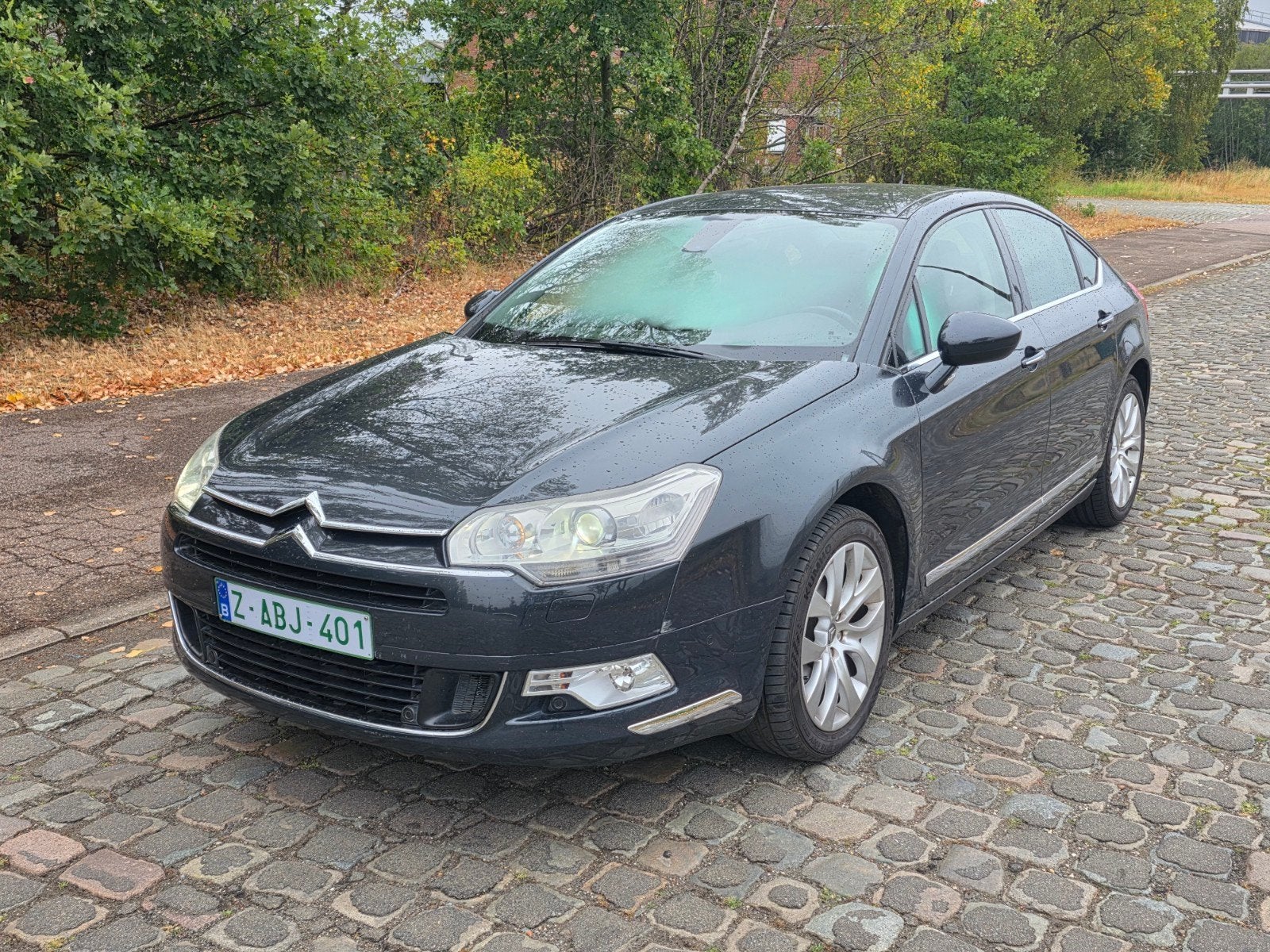 Citroën C5 Exclusive Automatic 2.0HDI, Automaat, Dealer onderhouden, Bedrijf, Diesel