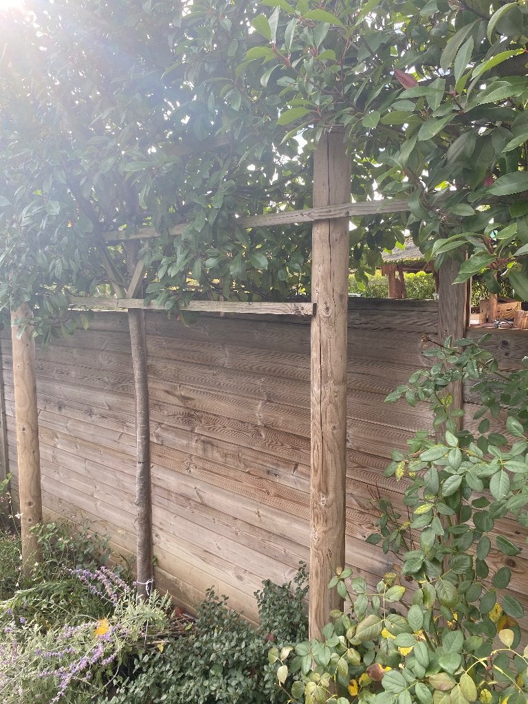 Met autoclaaf behandeld hout, 250+/- latten, 180 cm x 14 cm, Ophalen, Gebruikt, Hout, Overige typen