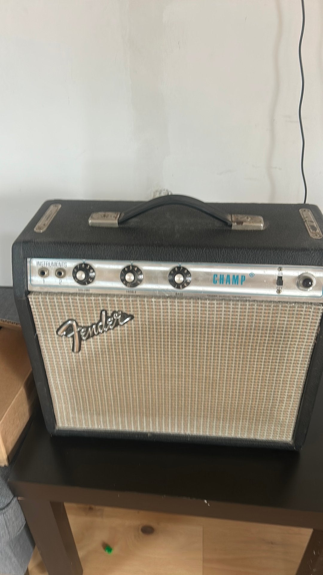 Fender Champ, Enlèvement, Utilisé