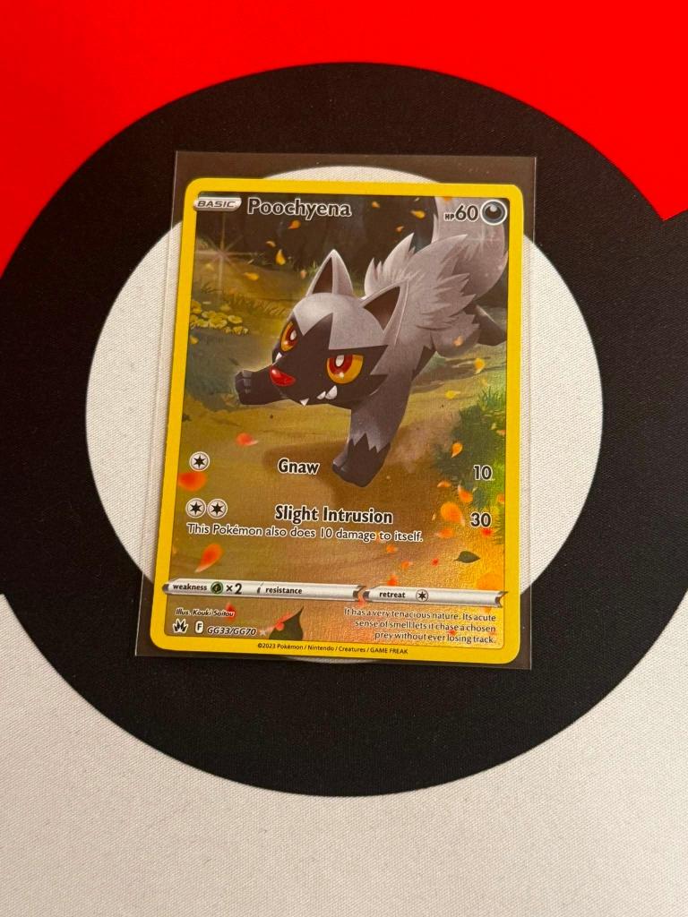 Pokémon - Crown Zenith - Poochyena - GG33/GG70 - NM, Ophalen of Verzenden, Zo goed als nieuw, Losse kaart