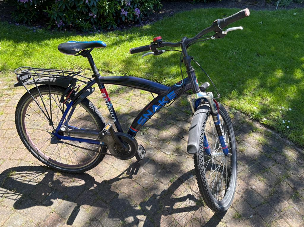 Batavis Snake 26’’, Fietsen en Brommers, Fietsen | Jongens, Gebruikt, Velgrem, Versnellingen, Ophalen