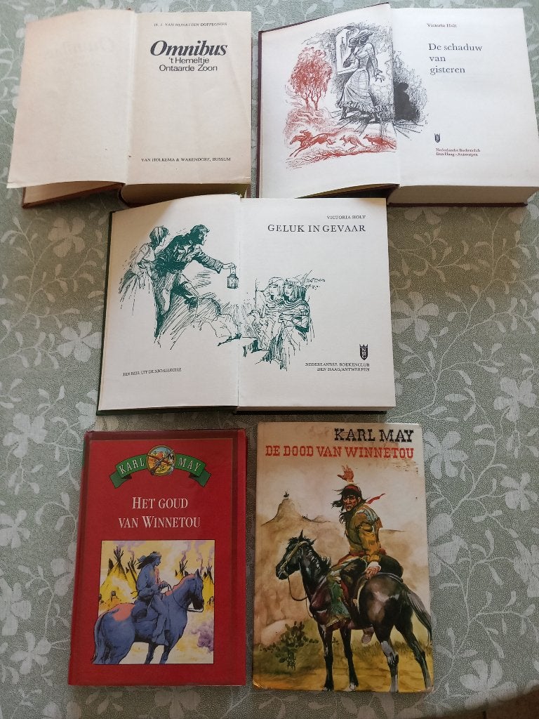5 mooie leesboeken ( romans ) ( 5 € ), Ophalen, Zo goed als nieuw