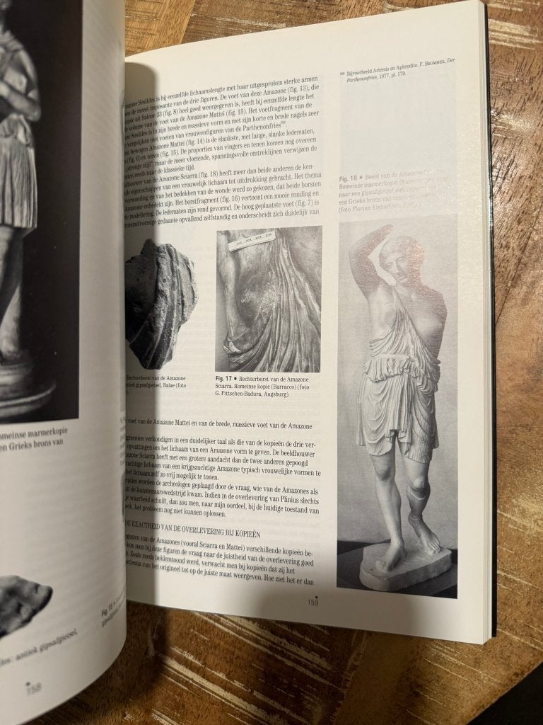 Eeuwige steen van Nijl tot Rijn, groeven en prefabricatie, Ophalen of Verzenden, Zo goed als nieuw, Stijl of Stroming