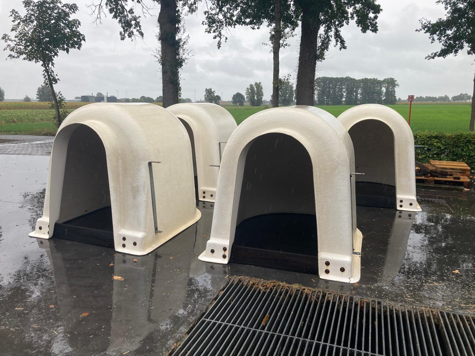 Kalver iglo’s, Dieren en Toebehoren, Ophalen, Zo goed als nieuw