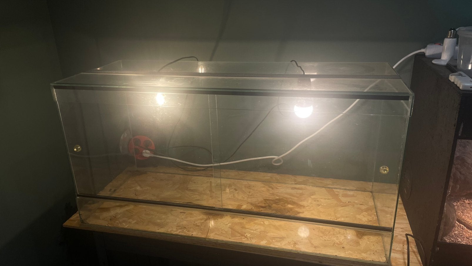 Terrarium, Animaux & Accessoires, Enlèvement, Comme neuf