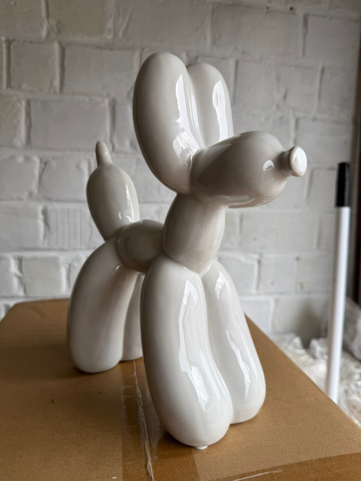 Ballonhond, Ophalen, Nieuw, Dier