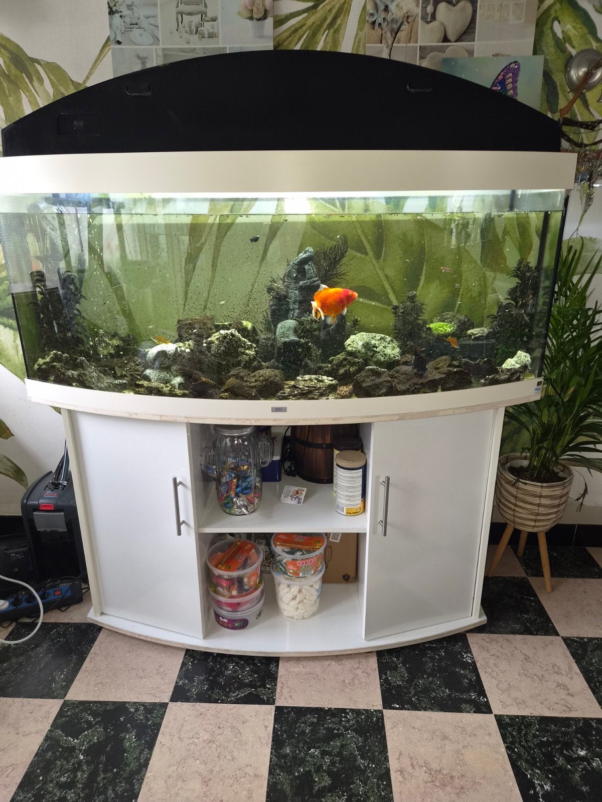 Jewel aquarium, Animaux & Accessoires, Enlèvement, Pompe