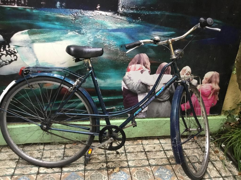 Damesfiets merk gerdino perfect in orde, Fietsen en Brommers, Fietsen | Dames | Damesfietsen, Ophalen, Gebruikt, Overige merken