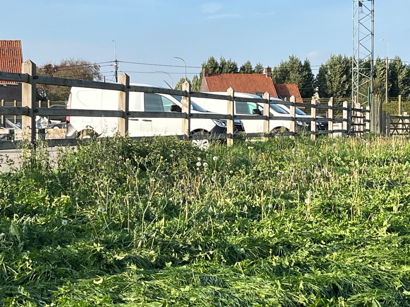 Clôture pour chevaux à 3 poutres de 50 m, Pâturage, 4 chevaux ou poneys ou plus