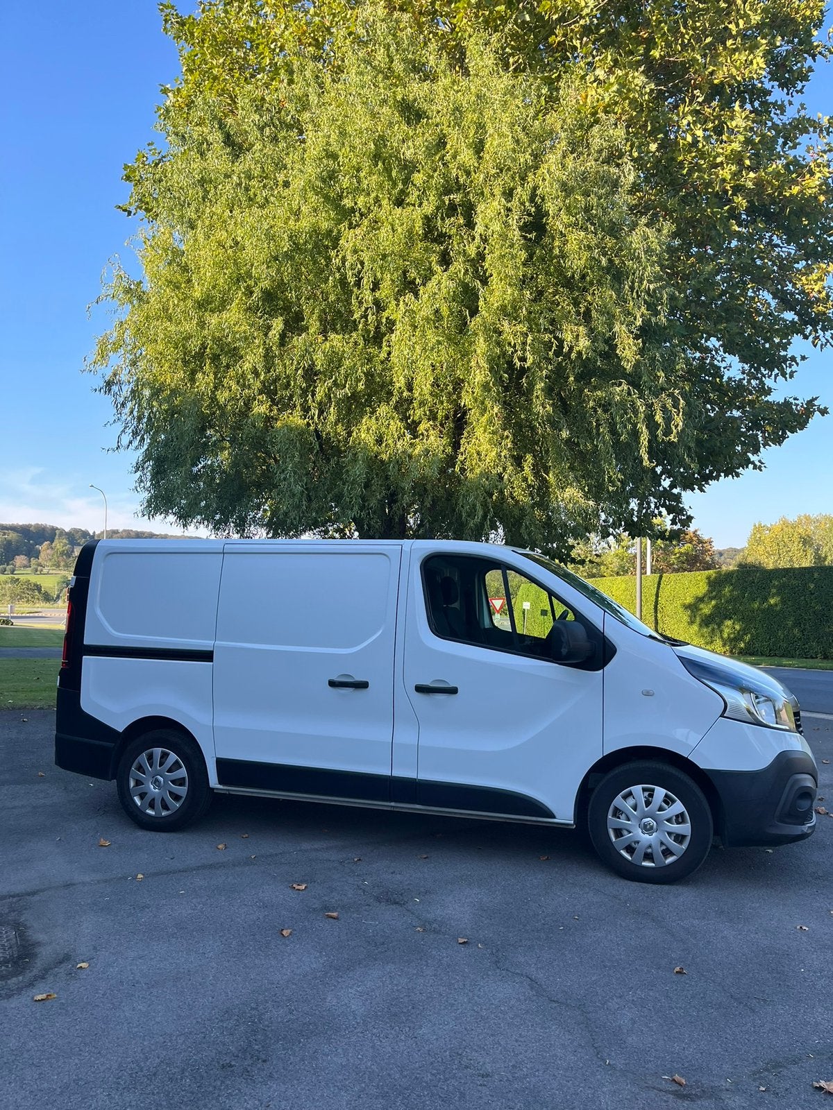 Renault traffic, Renault, Diesel, Particulier, Te koop