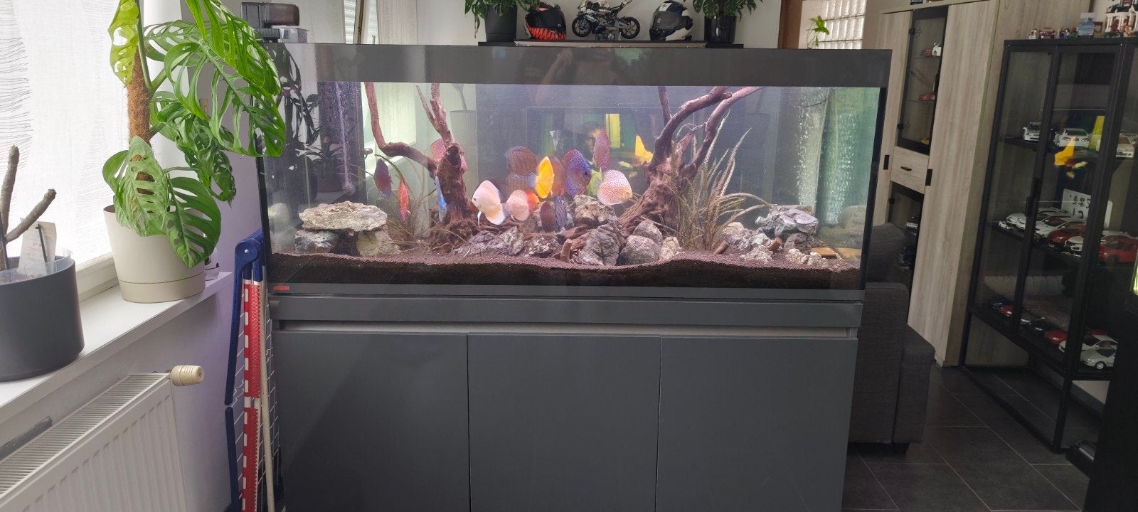Aquarium eheim incpiria 530l, Animaux & Accessoires, Enlèvement