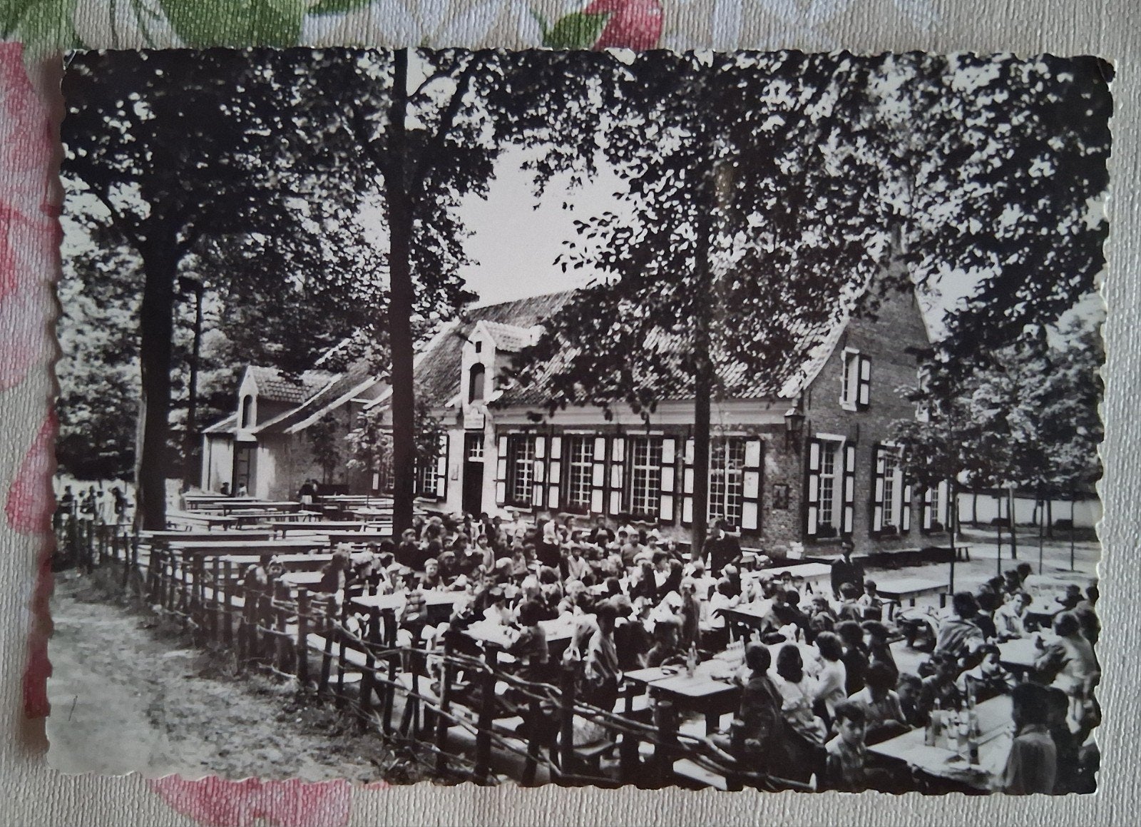 vintage Postkaart Bokrijk, Verzamelen, Ophalen of Verzenden
