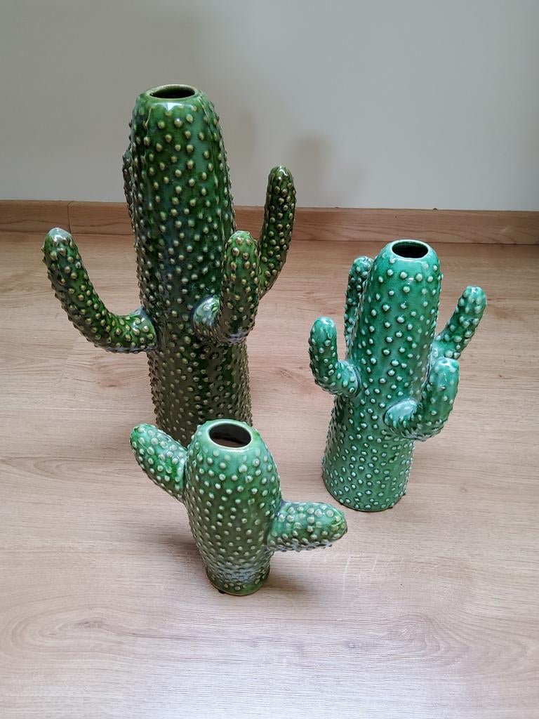 cactus serax, Huis en Inrichting, Ophalen