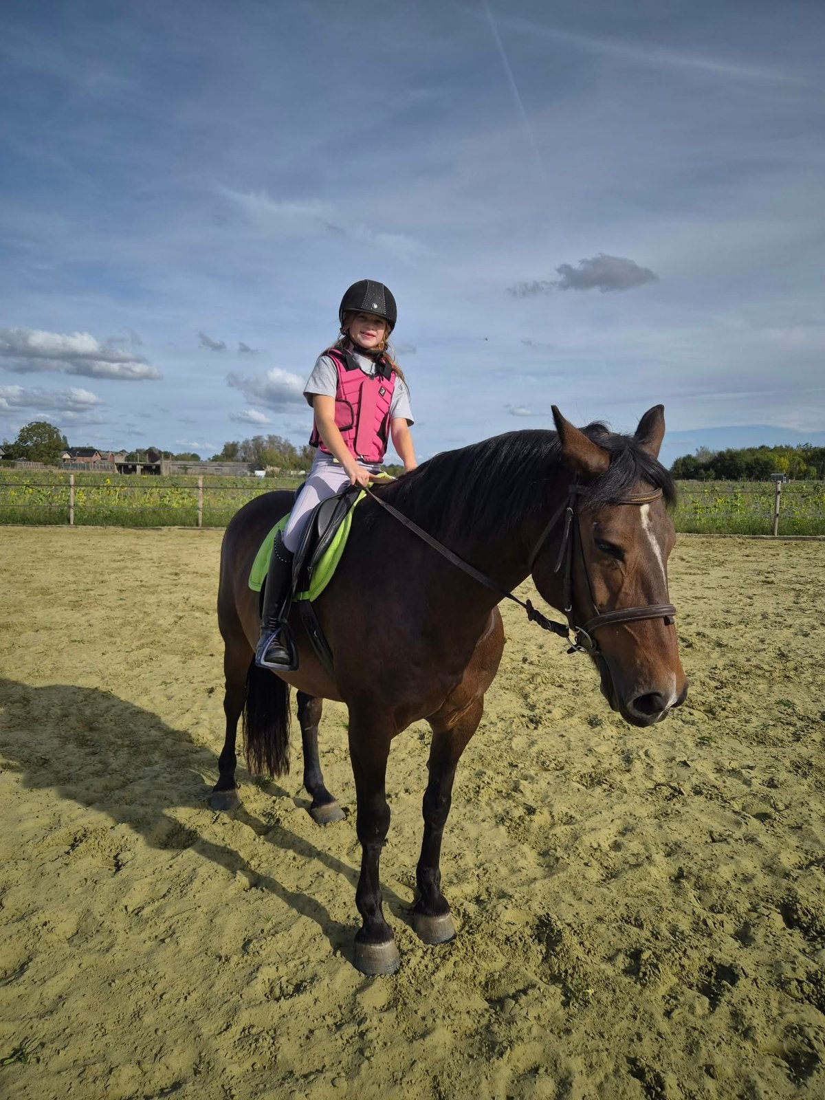 Lieve ruin, Dieren en Toebehoren, Ruin