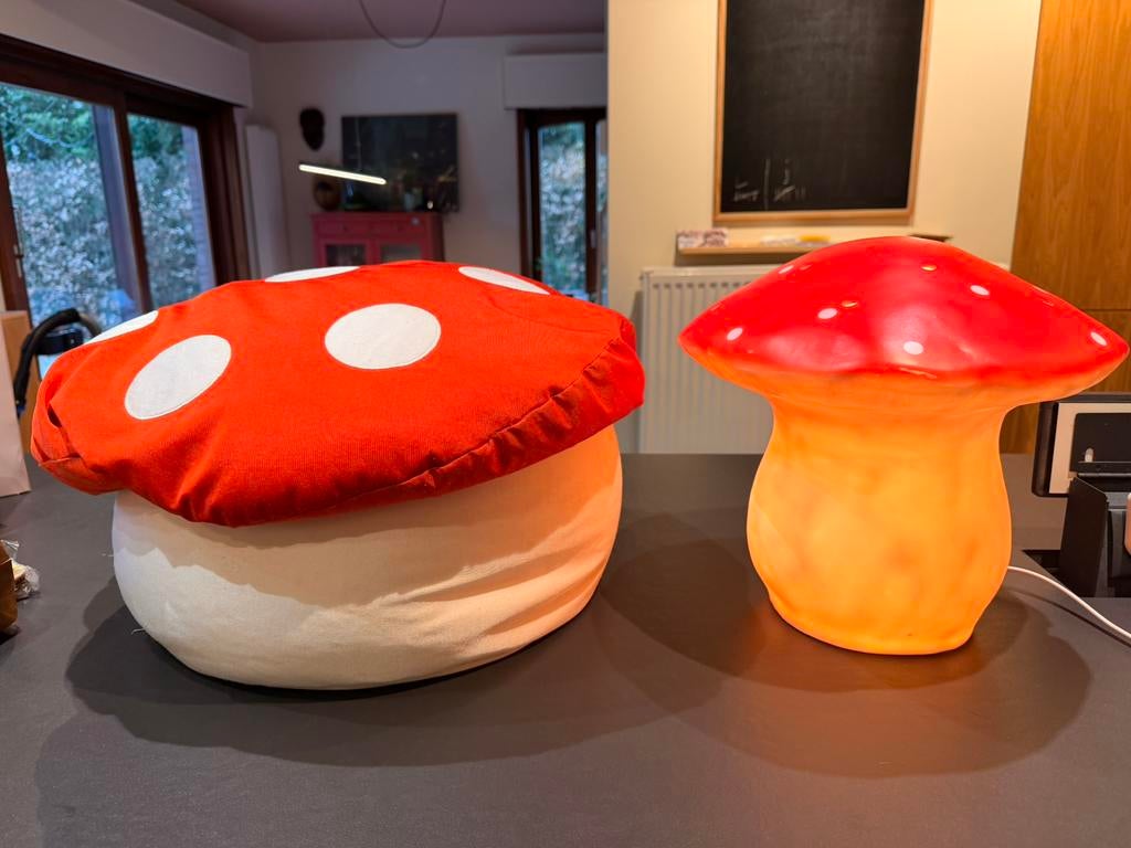 Paddestoel lamp en paddestoel zitzak, Ophalen, Zo goed als nieuw