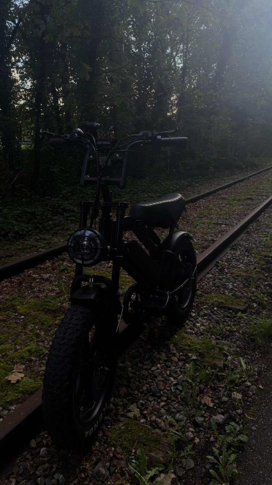 Fatbike V20, Vélos & Vélomoteurs, Enlèvement, Utilisé, Medium