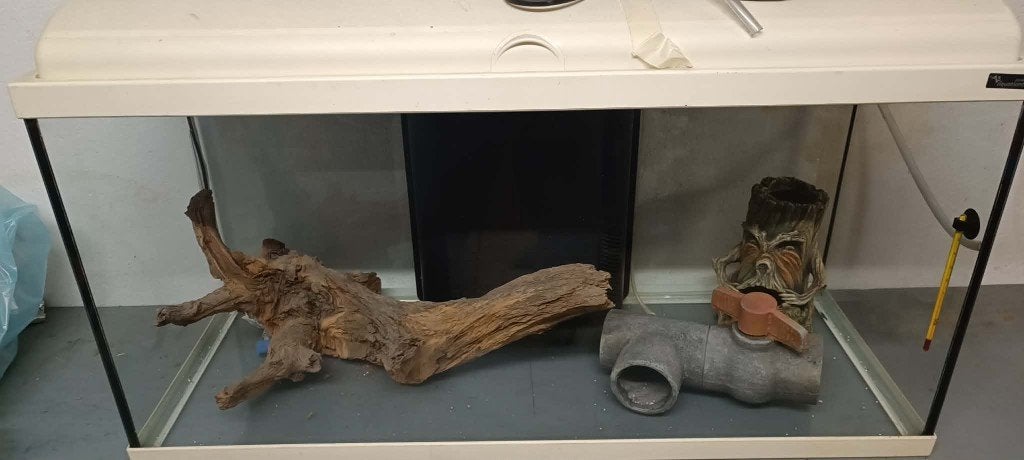 aquarium, Animaux & Accessoires, Enlèvement