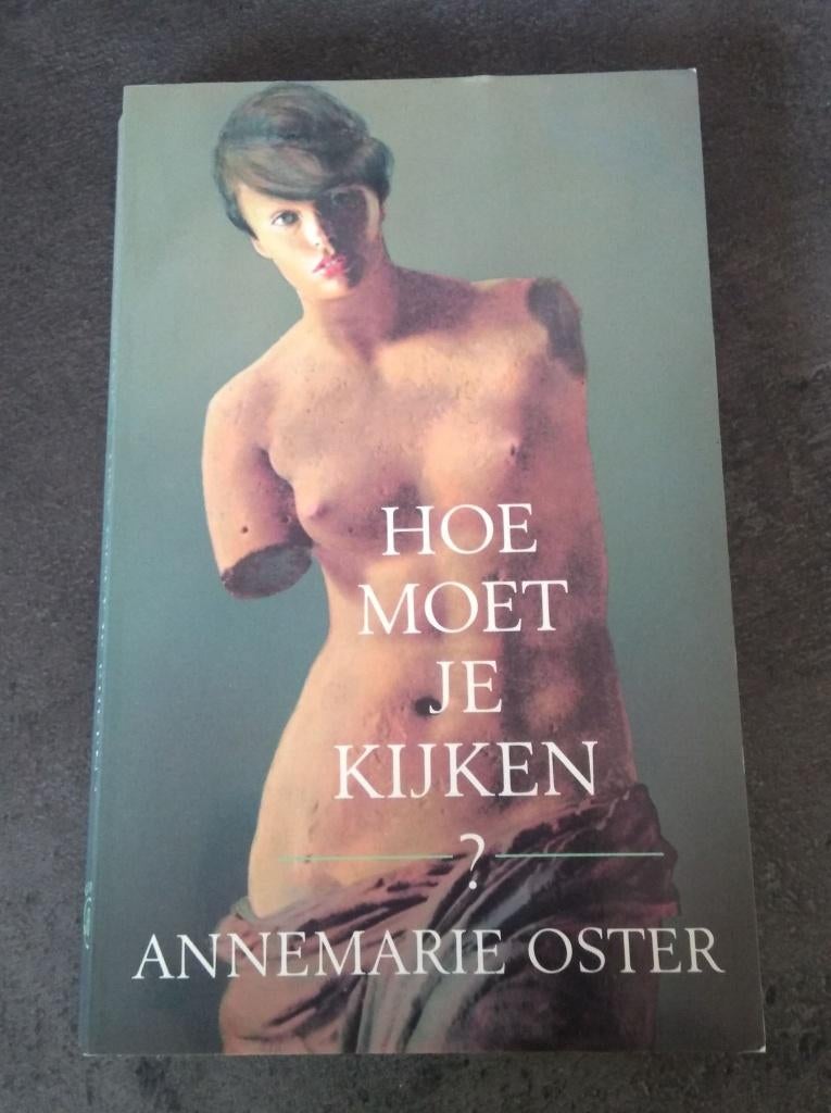 Hoe moet je kijken, Ophalen of Verzenden, Annemarie Oster