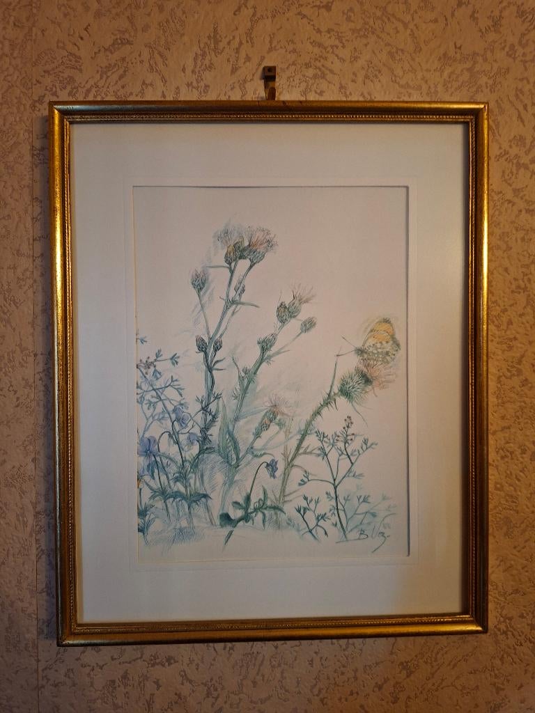 Twee botanische aquarellen – gesigneerd – ingekaderd, Antiek en Kunst, Ophalen