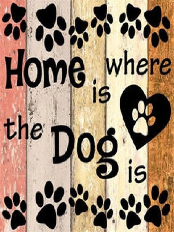 50x40cm Diamond Painting dog text (rond) nr 2039, Hobby & Loisirs créatifs, Neuf, Autocollant, Silhouette, Autres matériaux