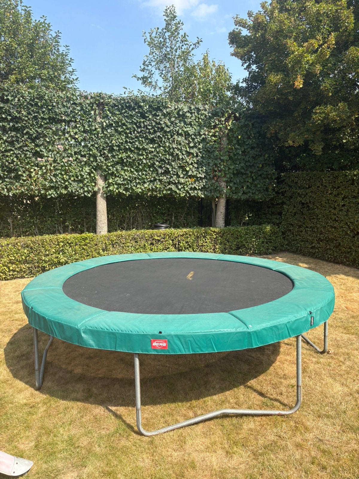 Trampoline Berg Champion, Enfants & Bébés, Jouets | Extérieur | Trampolines, Enlèvement