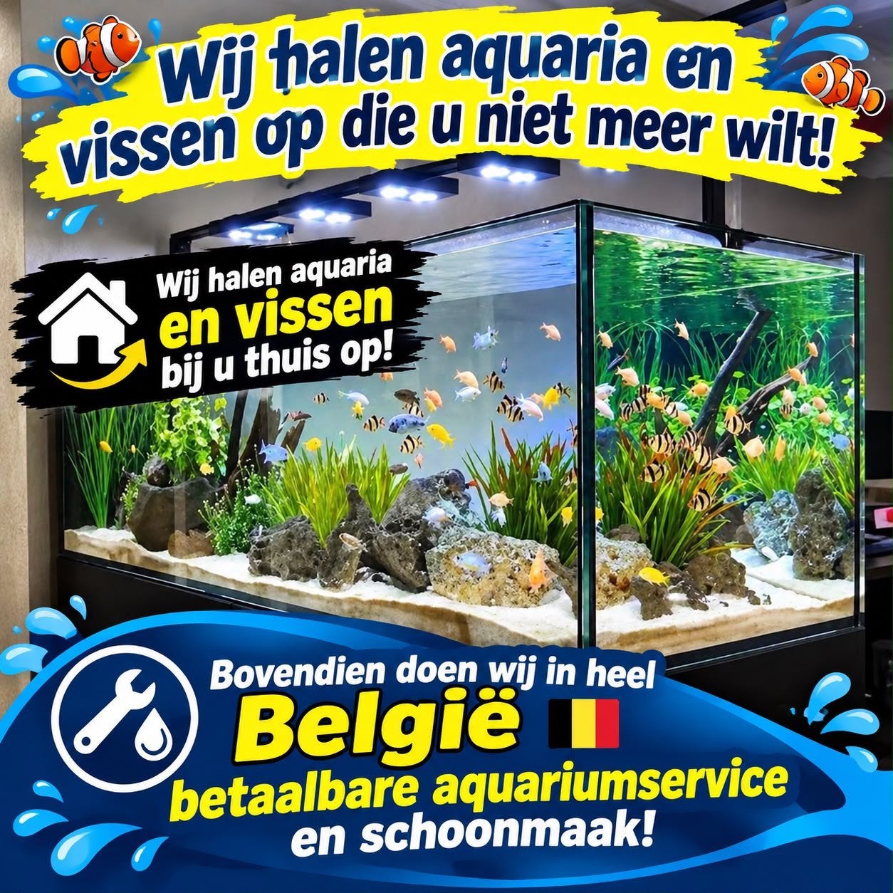 Aguarıum vissen opvang!!, Dieren en Toebehoren