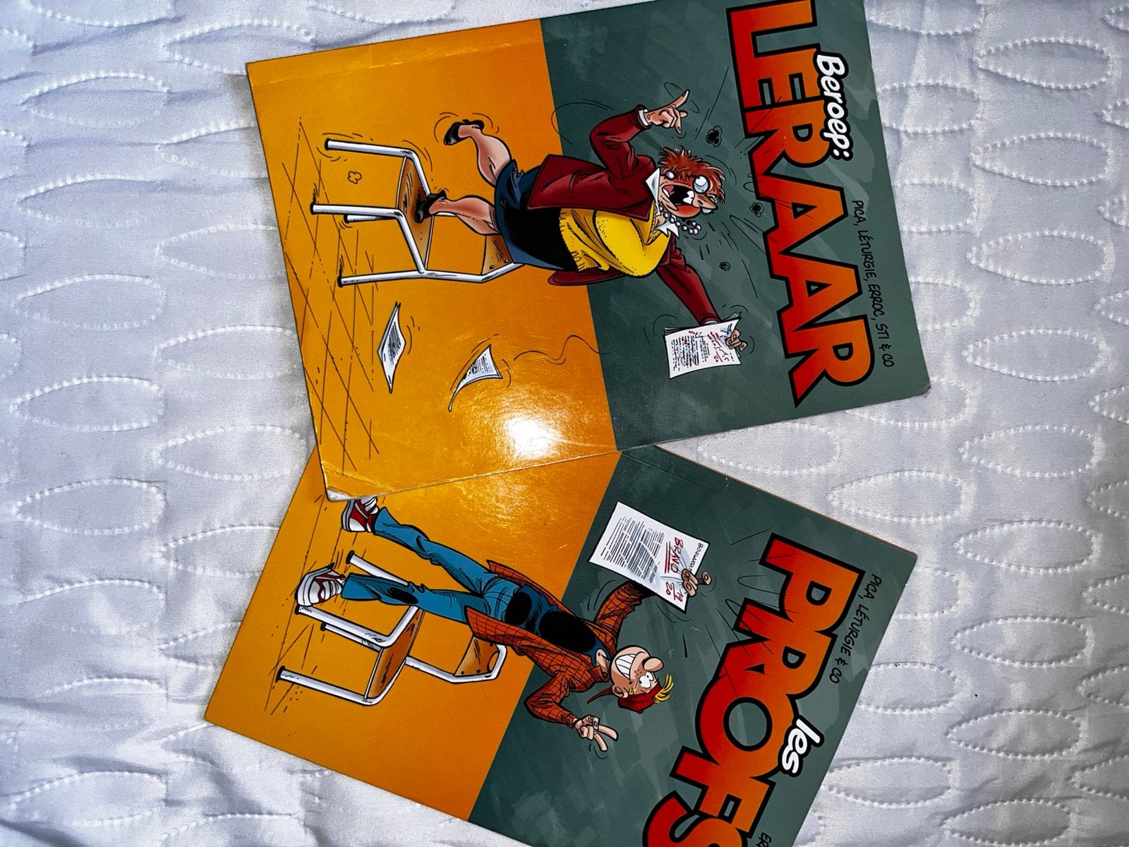 Livres les profs, Boeken, Prentenboeken en Plaatjesalbums, Ophalen of Verzenden, Zo goed als nieuw