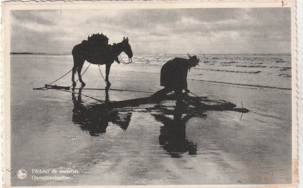 Oostduinkerke, Enlèvement ou Envoi