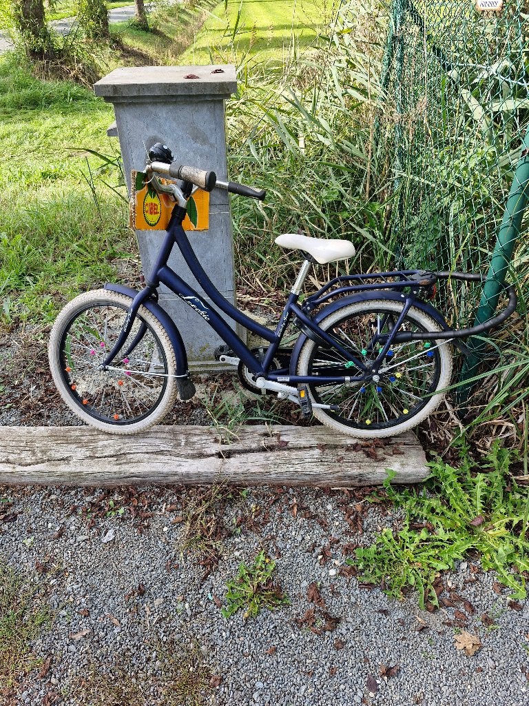vélos pour enfants, Vélos & Vélomoteurs, Enlèvement, Utilisé