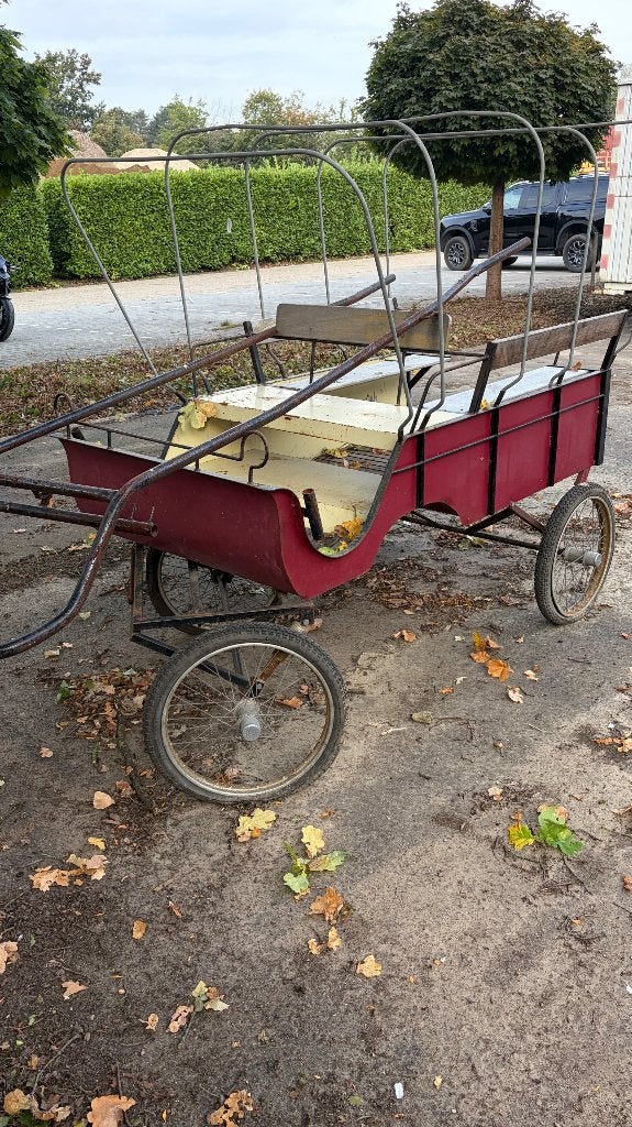 Paardenkoets, Gebruikt, Overige typen, Paard