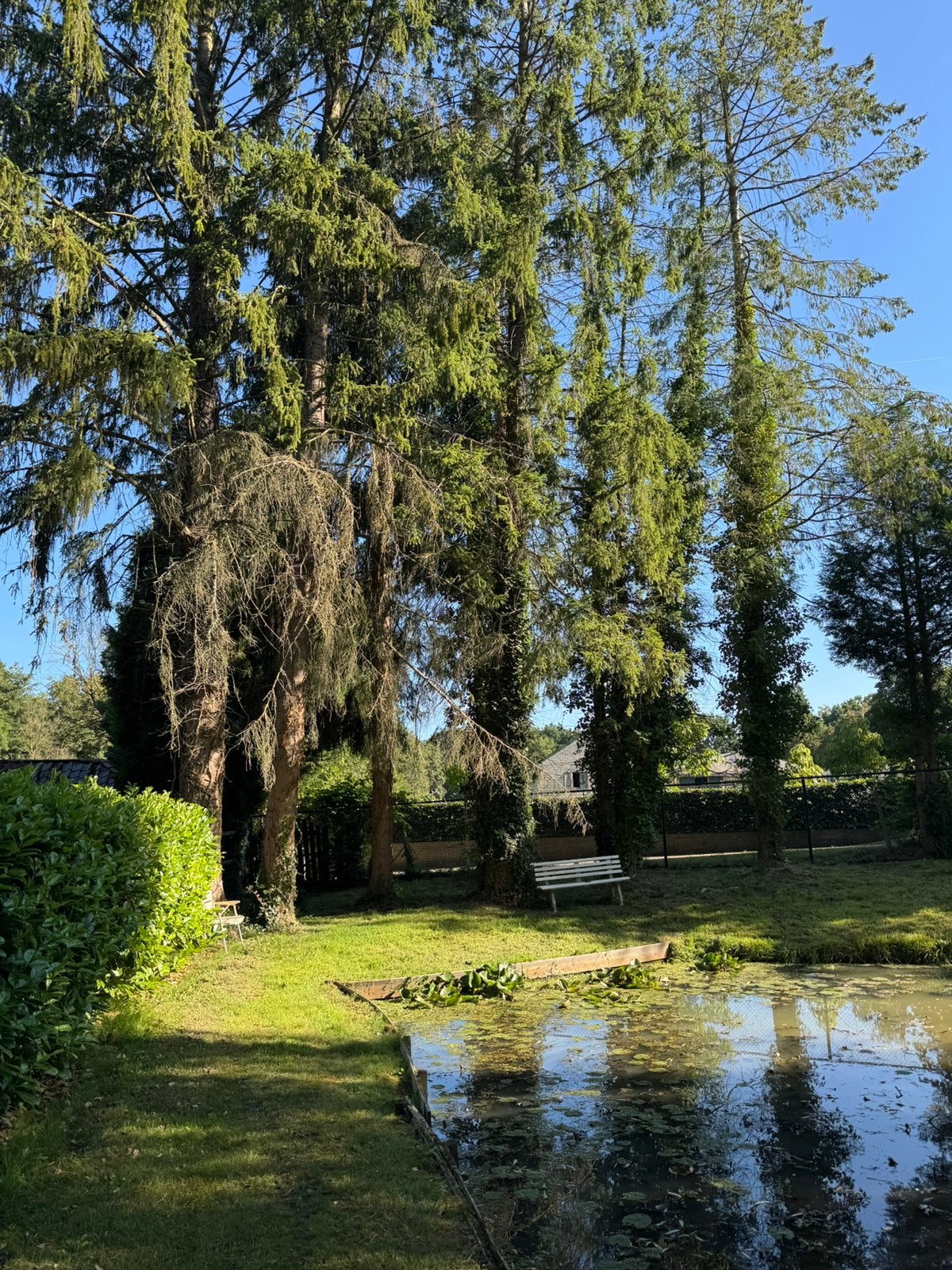 Brandhout, Tuin en Terras, Brandhout, Ophalen