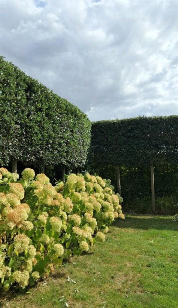 jardin, Jardin & Terrasse, Enlèvement