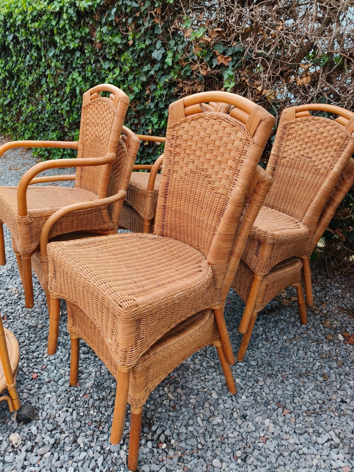 8 rotan stoelen in zeer goede staat, Ophalen
