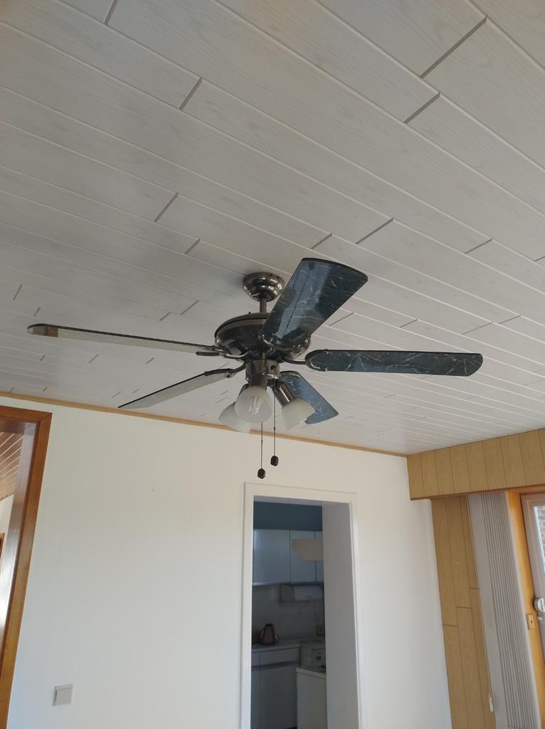 Gratis plafondlamp met ventilator., Ophalen