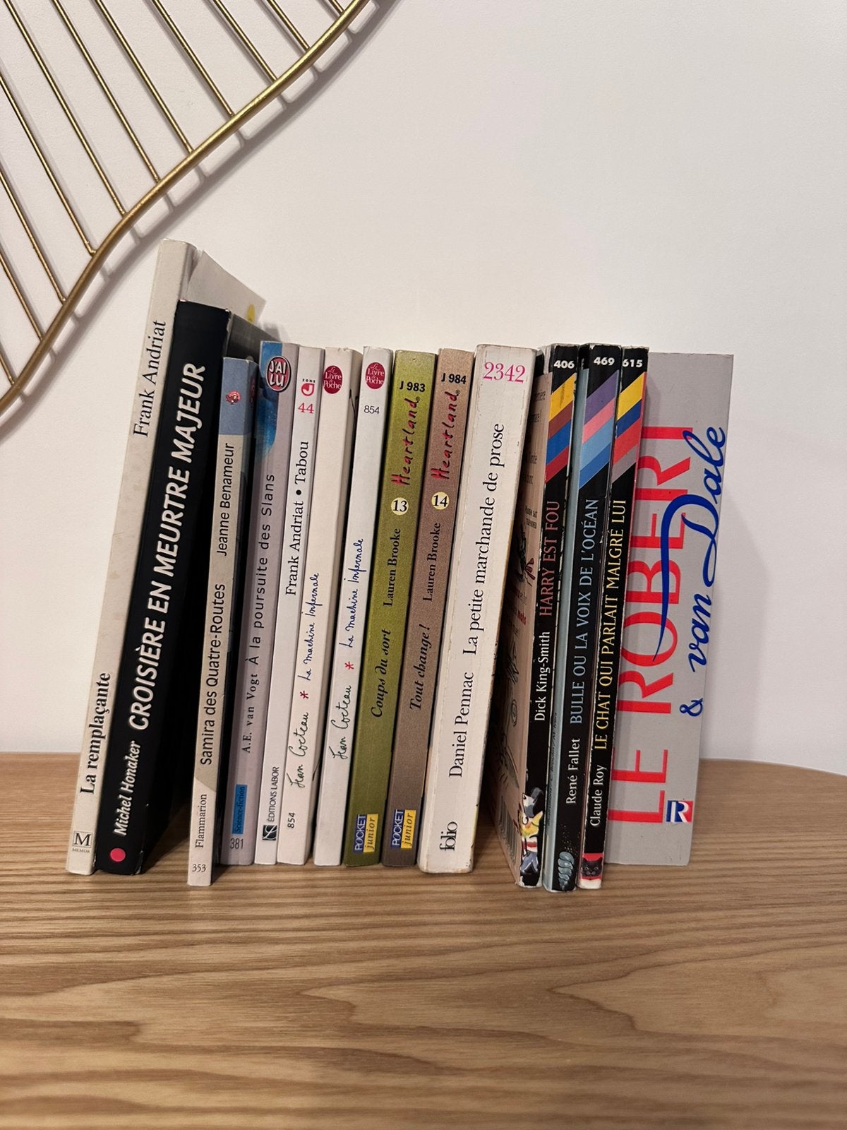 Lot de 13 livres – jeunesse / ados + dictionnaire FR/NDLS, Enlèvement, Utilisé, Ne s'applique pas