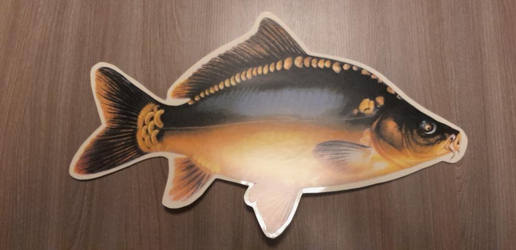stickers / zelfklevers vijvervissen / zoetwatervissen, Dieren en Toebehoren, Vissen | Vijvervissen, Overige soorten