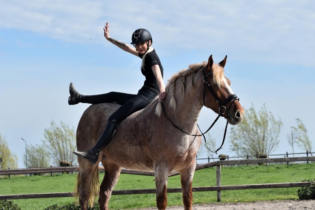 ## GEWELDIGE, super brave en prachtige ROAN ##, Dieren en Toebehoren, Merrie, Met stamboom, 3 tot 6 jaar